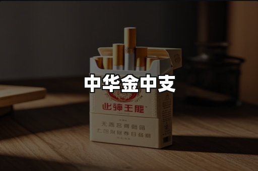 中华金中支